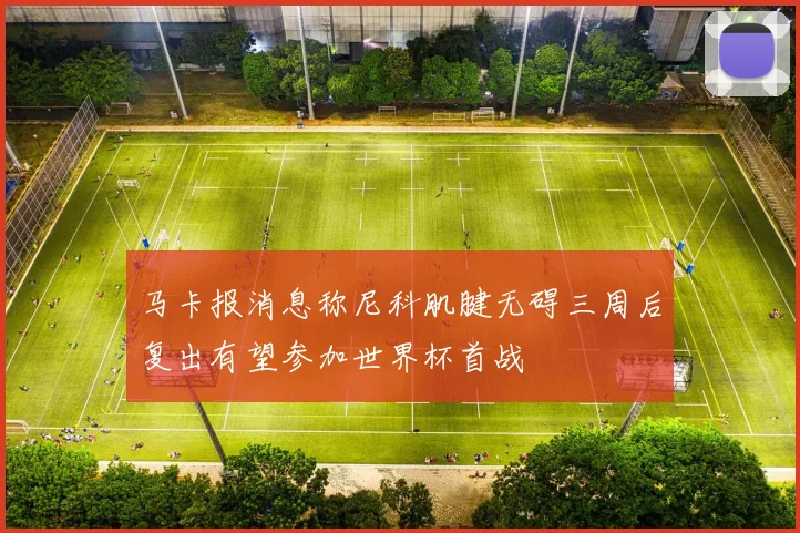 马卡报消息称尼科肌腱无碍三周后复出有望参加世界杯首战