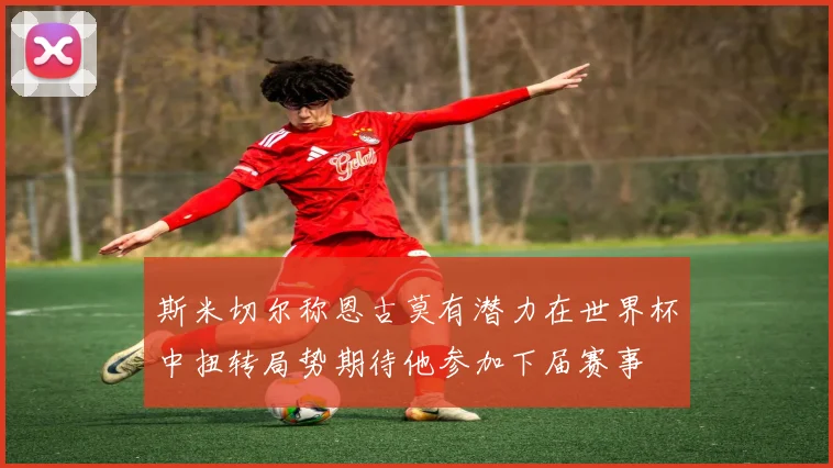 斯米切尔称恩古莫有潜力在世界杯中扭转局势期待他参加下届赛事