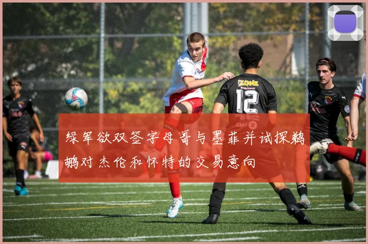 绿军欲双签字母哥与墨菲并试探鹈鹕对杰伦和怀特的交易意向